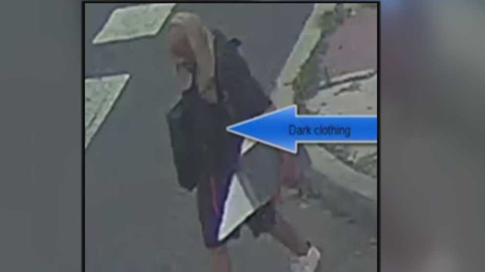 Suspect Breaks Into North Philadelphia Pizza Place, Steals $20,000 2