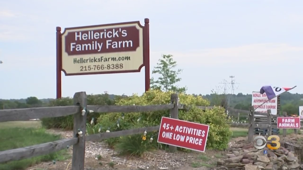CBS3 SummerFest: Hellerick's Family Farm Features Adventure Park, Plenty Of Other Activities