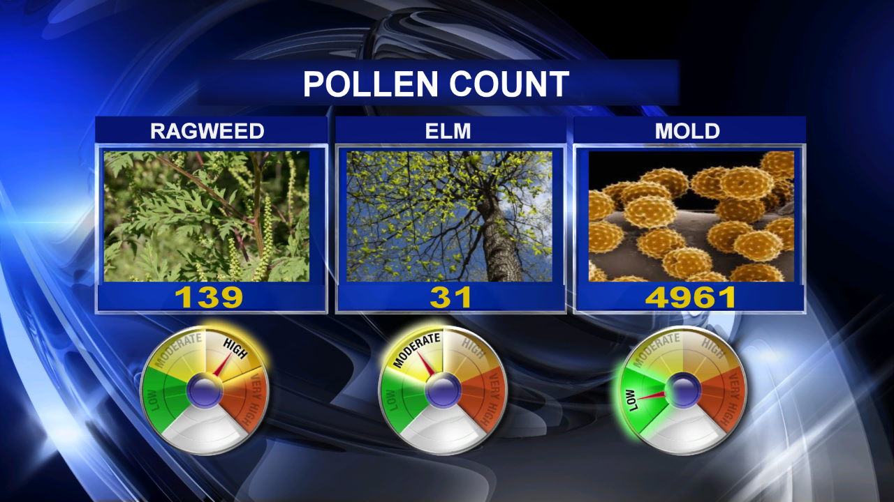 Pollen Count for Thursday, October 10, 2013 CBS DFW