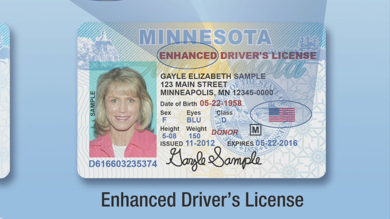 Driver s license. Minnesota Driver License. MN Driver License. Driver License ID.