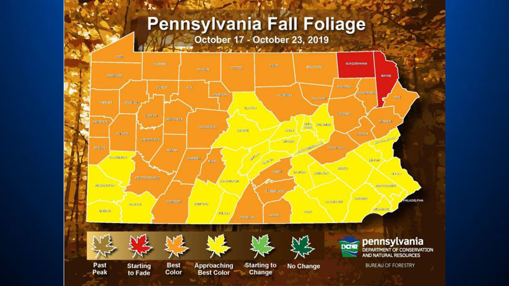 Check It Out! Pennsyvlania Fall Foliage Is In Full Effect CBS Pittsburgh