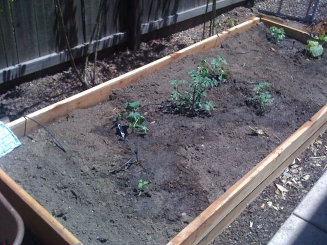 Our Raised Garden Bed