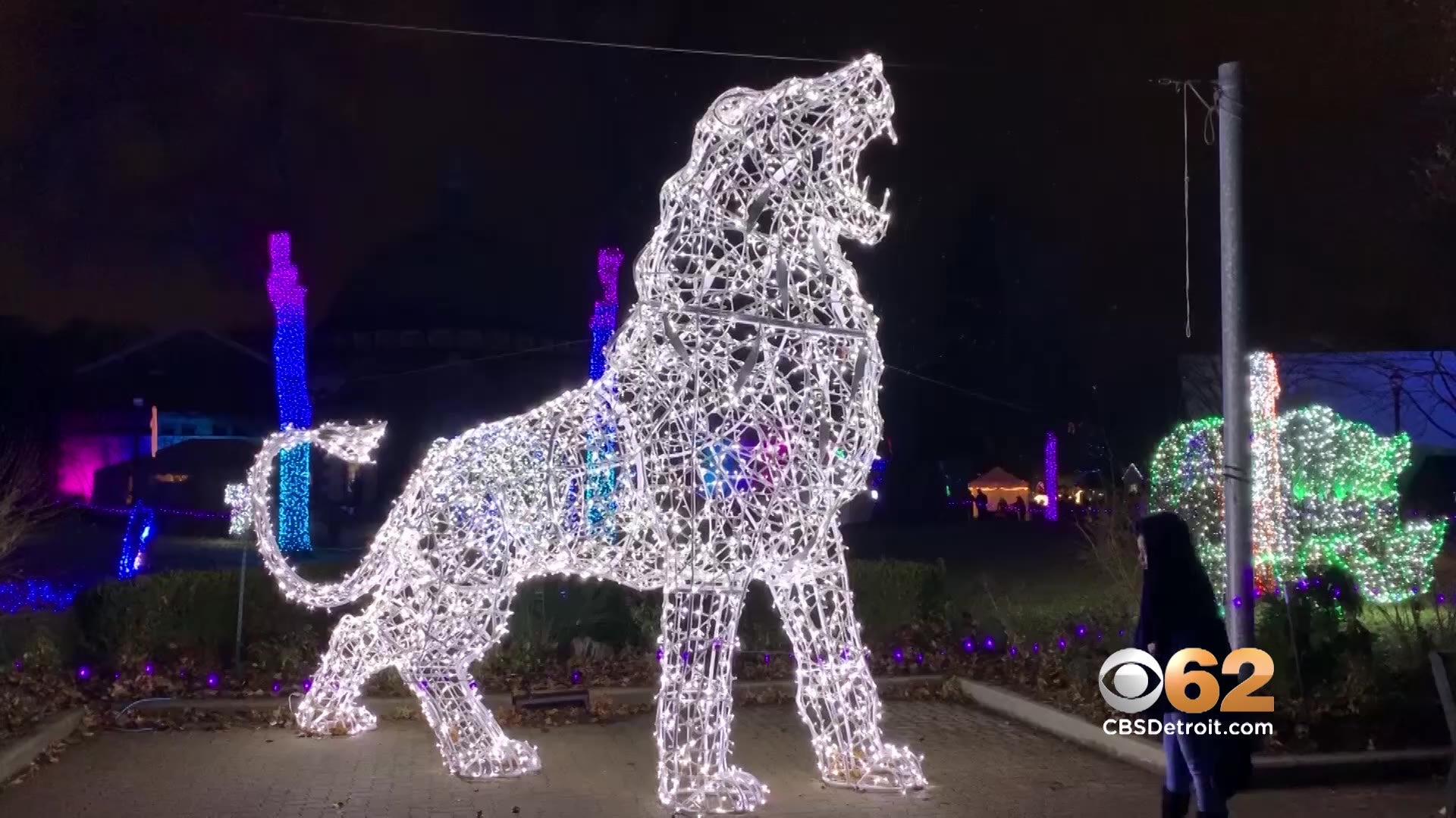 Detroit Zoo "Wild Lights" CBS Detroit