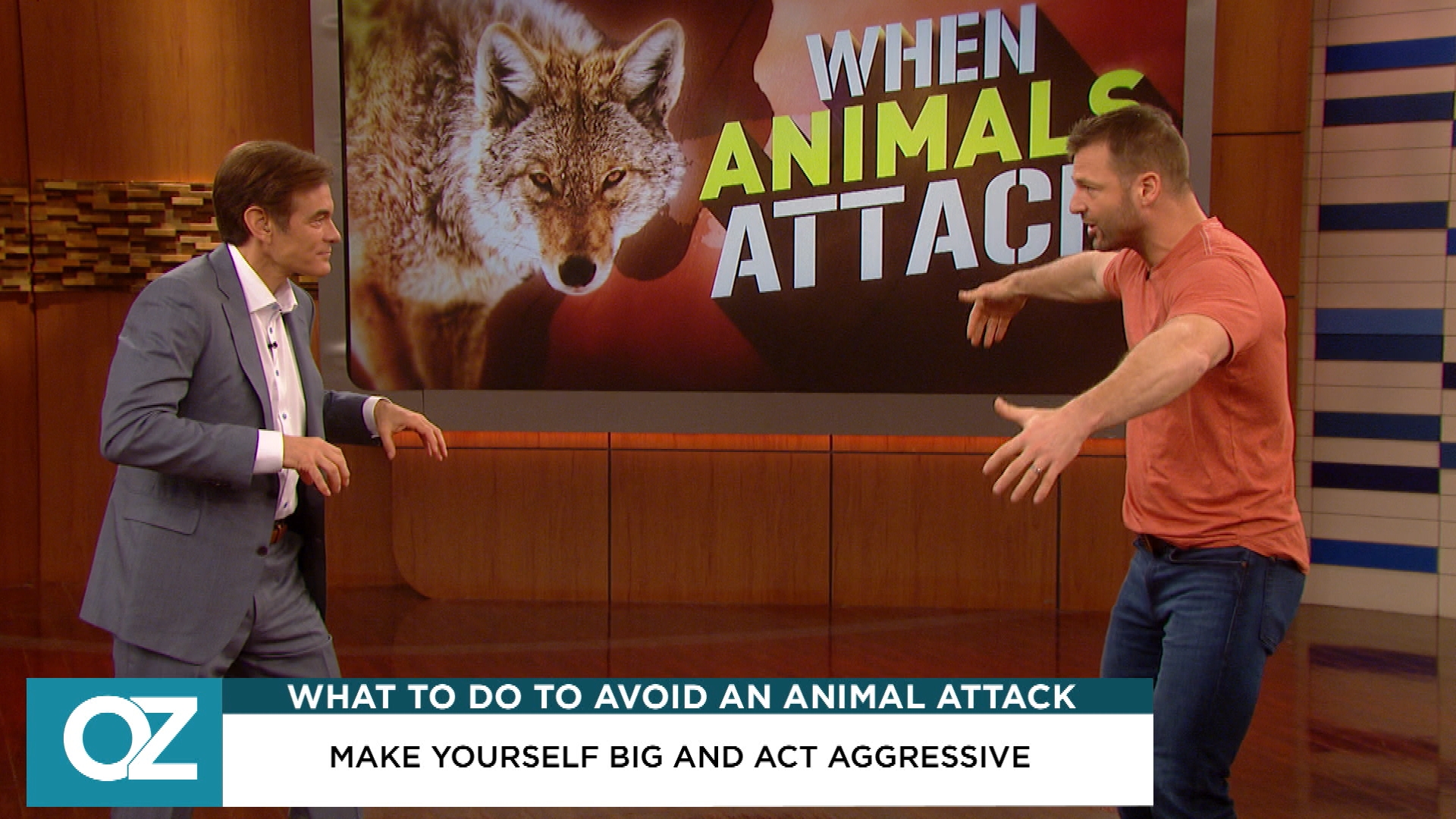 wild animal attack