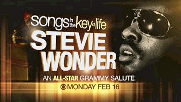 Stevie Wonder Special Graphic