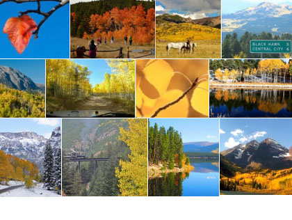 Fall Colors In Colorado 2011