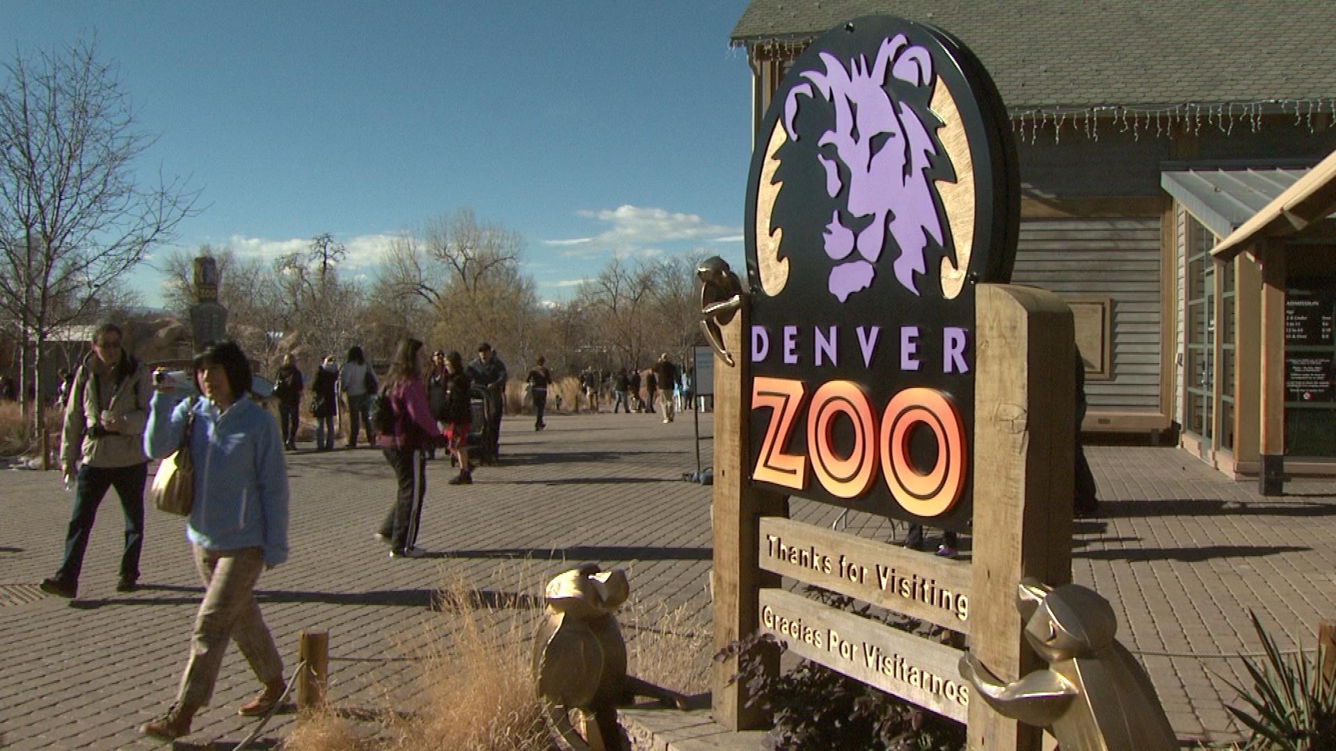 denver zoo behind the scenes tour