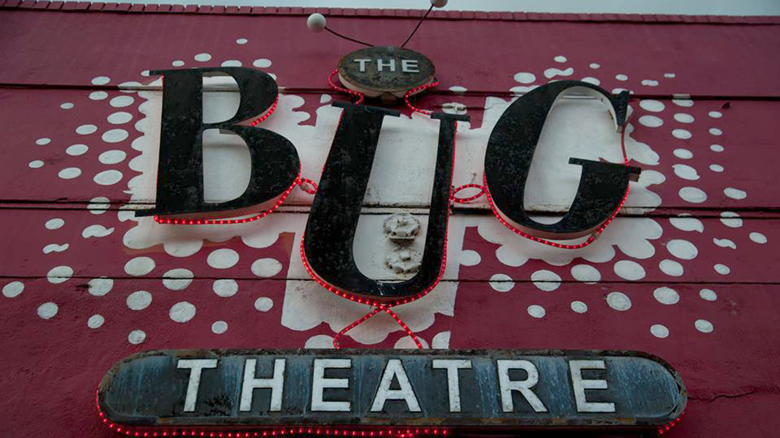 Bug Theatre
