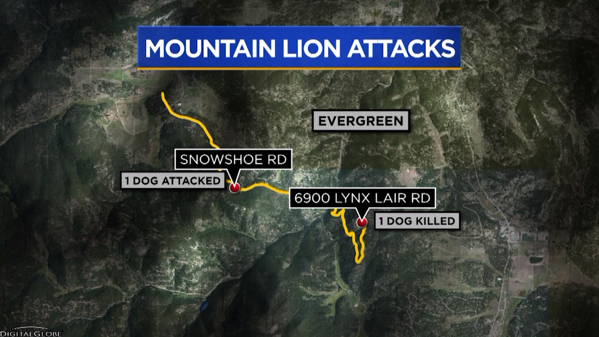 evergreen-mountain-lions-map