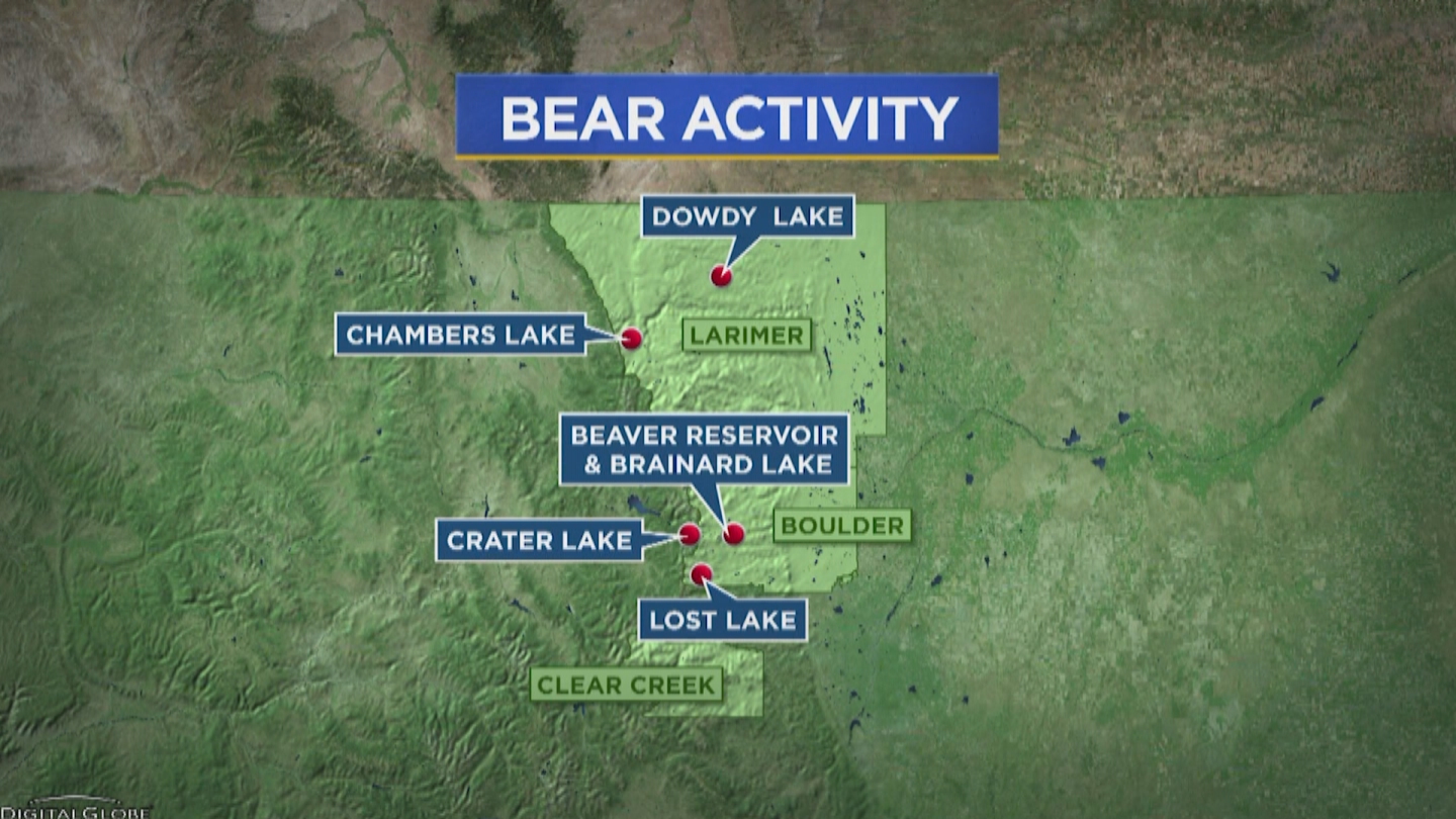 Bears In Campgrounds: Wildlife Officials Warn Campers To Secure Food And  Trash - CBS Colorado