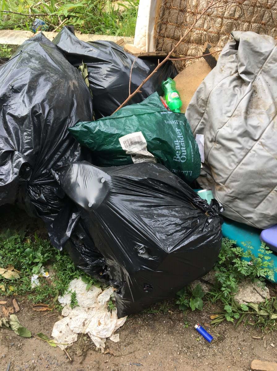 As Baltimore Tracks Illegal Dumping Severna Park Woman Questions Accuracy Of Fine Cbs Baltimore