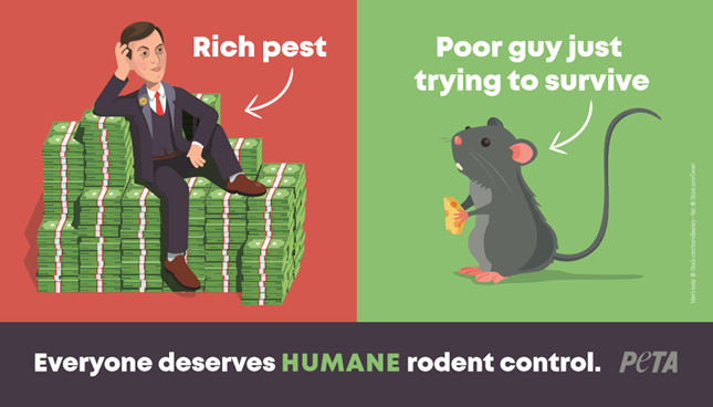 Humane ​Rodent Control