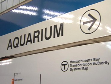 Curious About Blue Line's Fishy Smell, Tunnel Leak