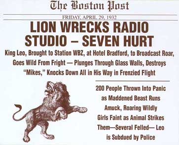 Lion Unleashed In WBZStudio