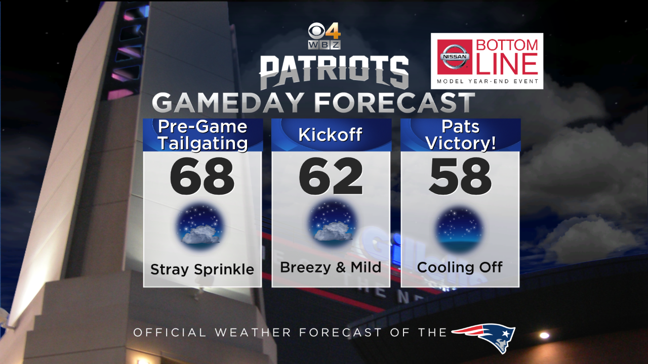 2015 Patriots Gameday OFFICIAL